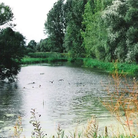 Star Camp Cosa, Ferienwohnungen, Camping, Schlaffaesser *