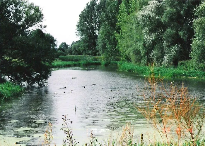 Star Camp Cosa, Ferienwohnungen, Camping, Schlaffaesser *